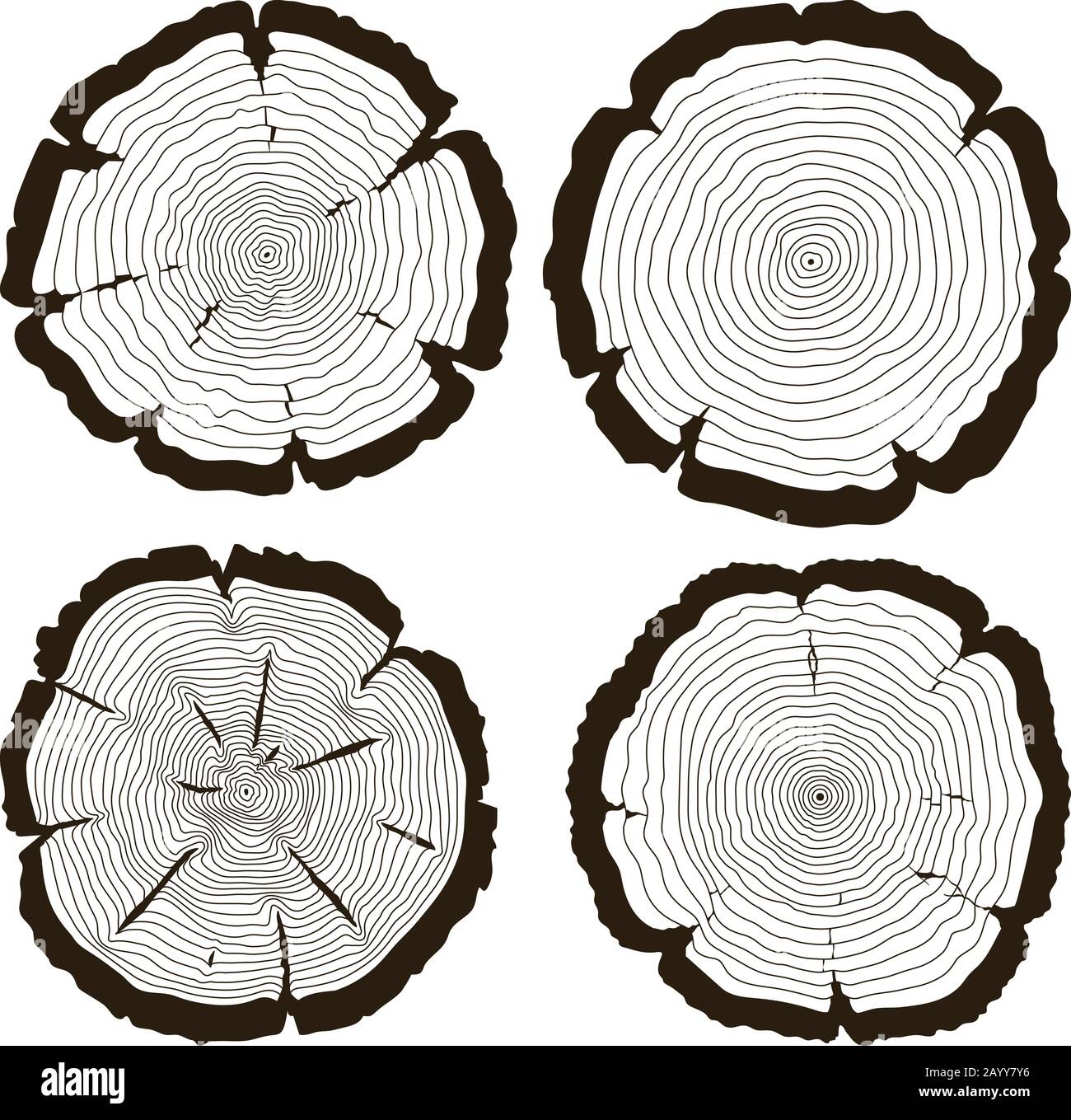 Vektorbaumringe und Sägenschnittstammsatz. Konzentrische und lineare, monochrom geschnittene Stammzeichnung mit Holzstamm Stock Vektor