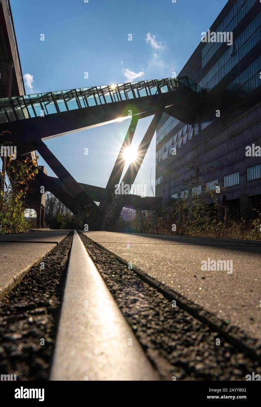 Welterbe Zollverein Colliery, Rolltreppe zum Ruhrmuseum in der ehemaligen Kohlenwaschanlage Essen, Stockfoto