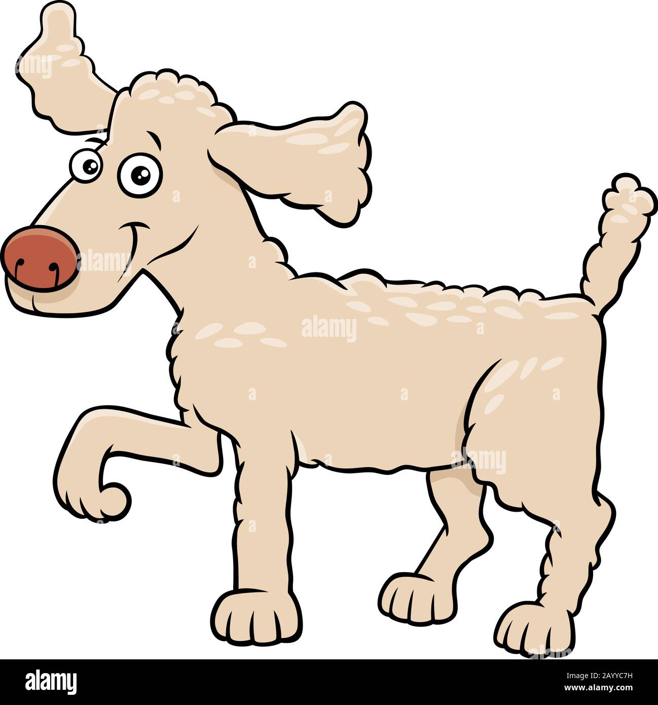 Cartoon-Illustration von Lustiger Poodle Dog Comic Tierfigur Stock Vektor