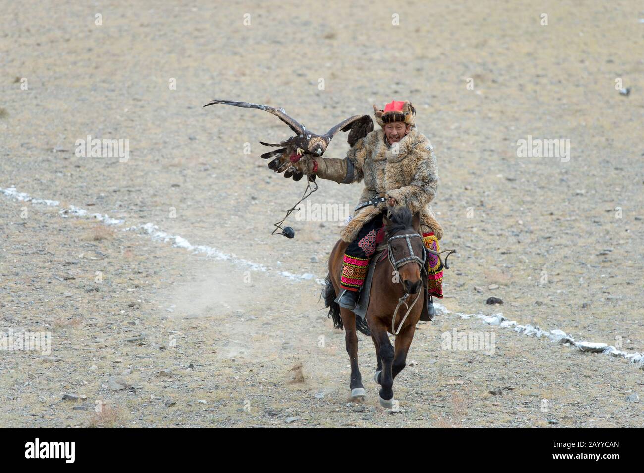 Wie sich Adler auf dem Goldenen AdlerFestival in der Nähe der Stadt
