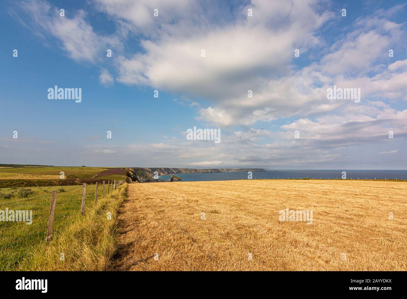 Blick über die Carvannel Downs und die Küste vom South West Coast Path - in der Nähe von Portreath, im Norden Cornwalls, Großbritannien. Stockfoto