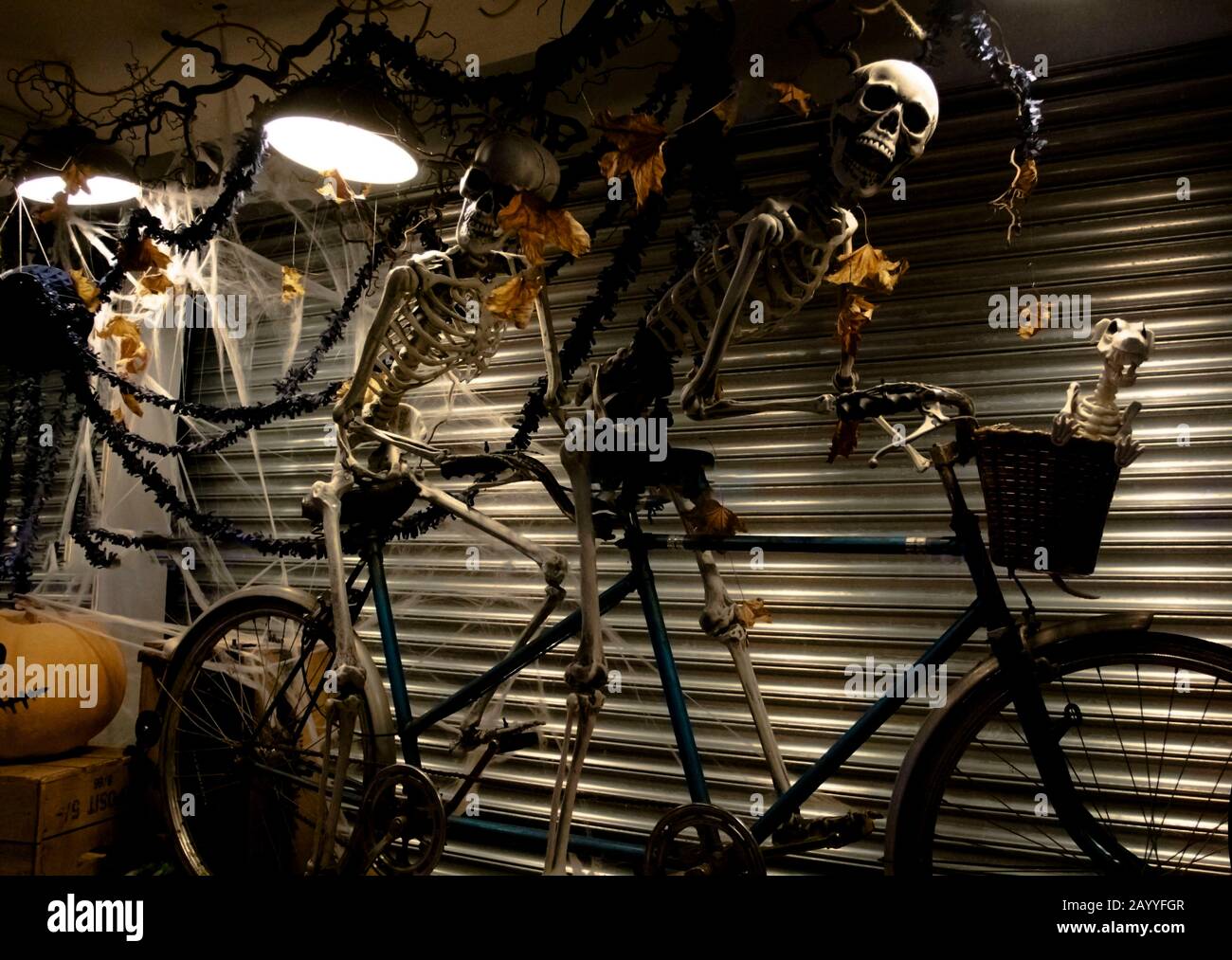 Zwei Skelette auf einem Tandem, Bicicicle Droitwich Spa, Worcester, England, Großbritannien, 10.02.2019, Ghost Tours, zwei Skelette Reiten auf einem Tandemfahrrad Stockfoto