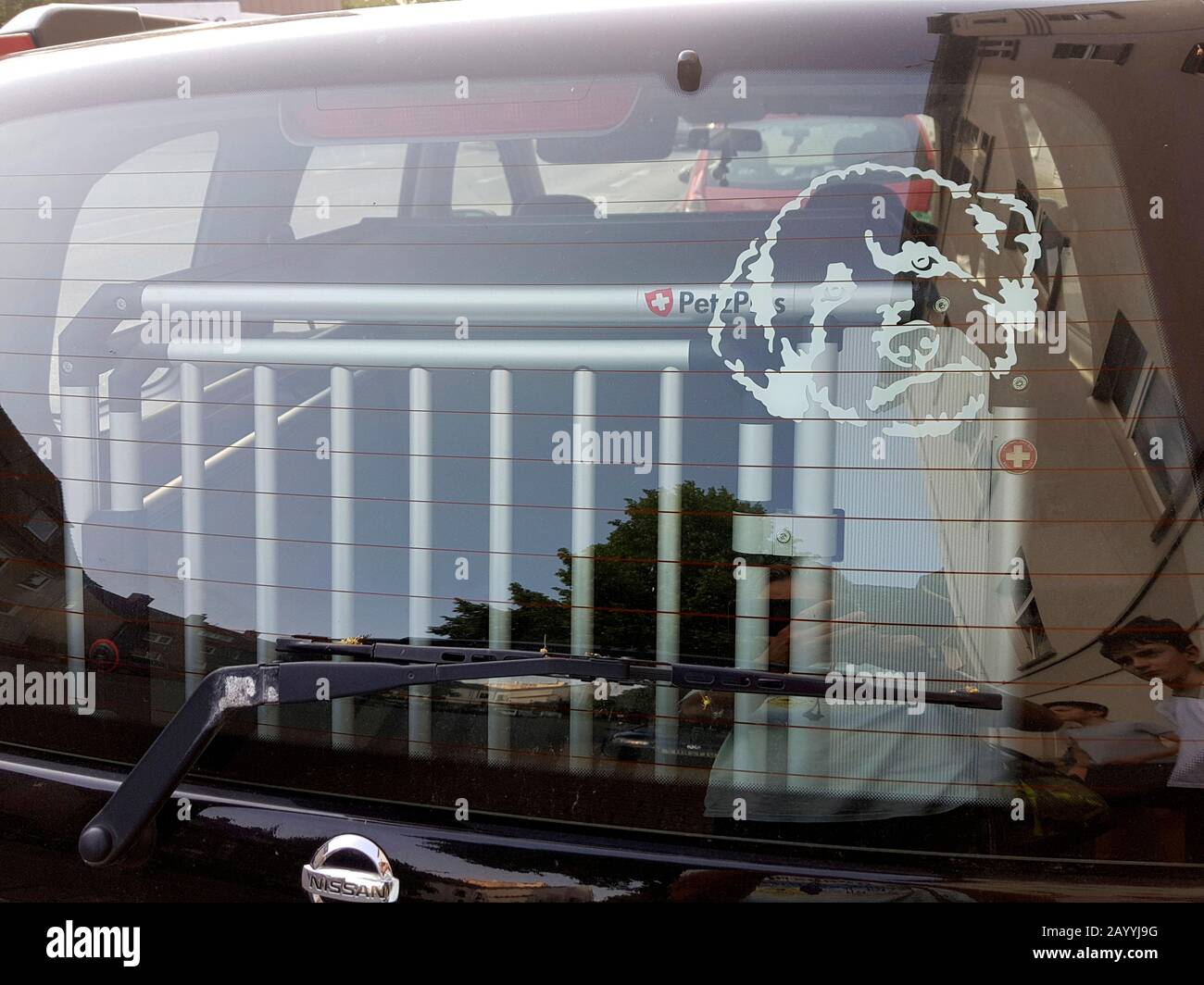 Auto mit Hundetransportbox und Hundeaufkleber, Deutschland Stockfoto