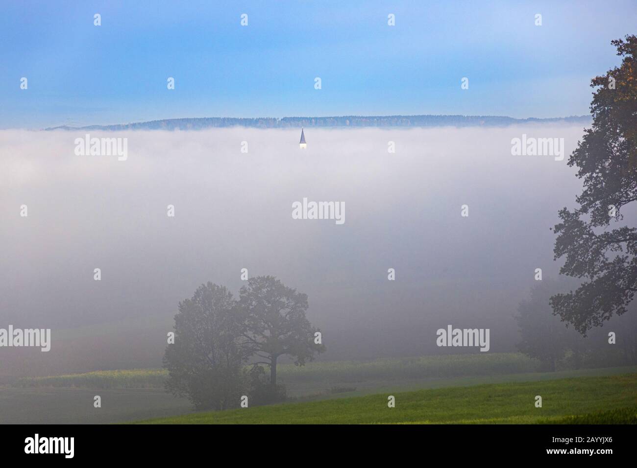 Atmosphärische Inversion, Kaltluftschicht in einem Tal, Deutschland, Bayern, Isental Stockfoto