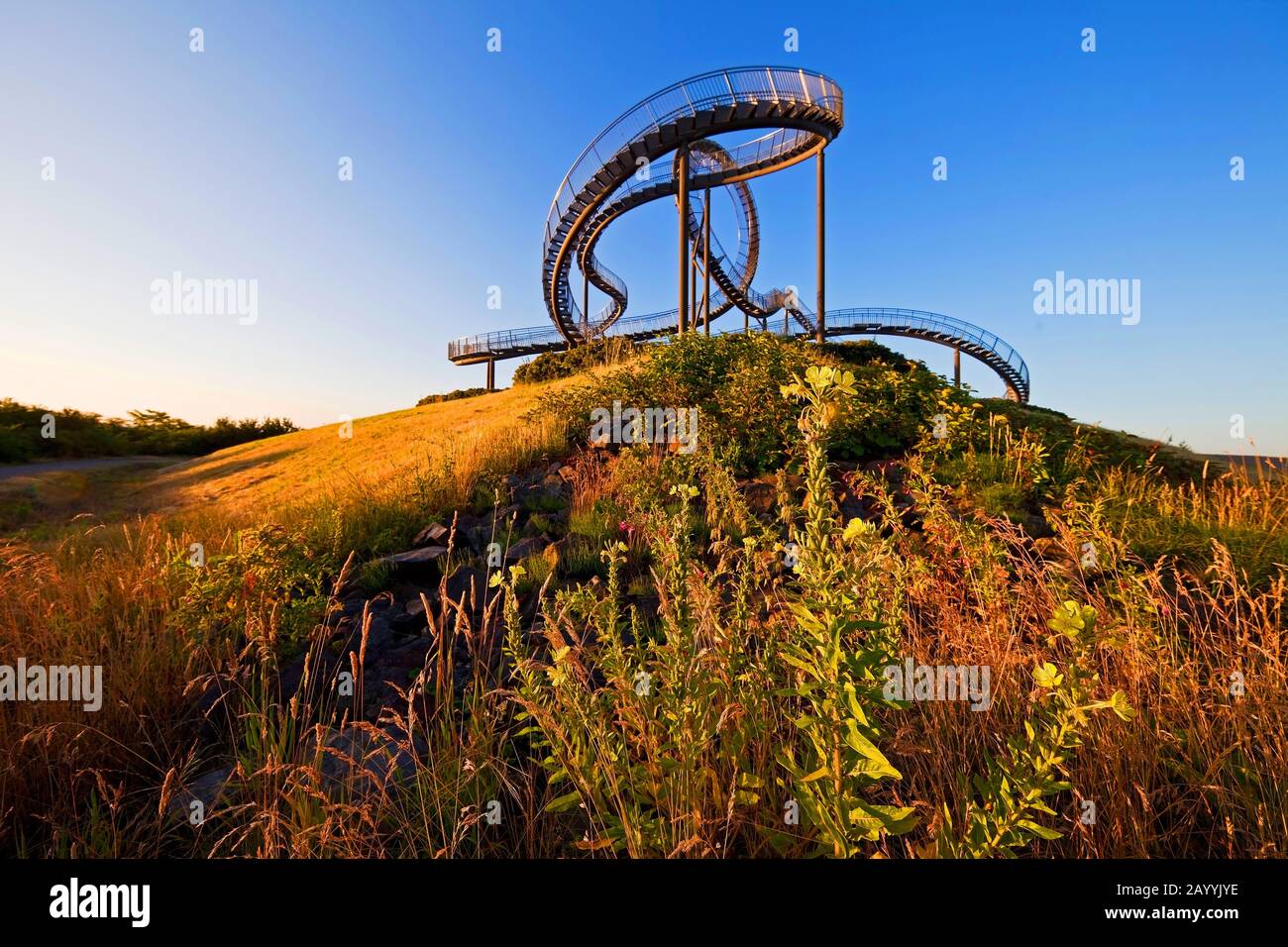 Tiger und Schildkröte - Zauberberg, Kunstinstallation und Wahrzeichen im Angerpark, Deutschland, Nordrhein-Westfalen, Ruhrgebiet, Duisburg Stockfoto