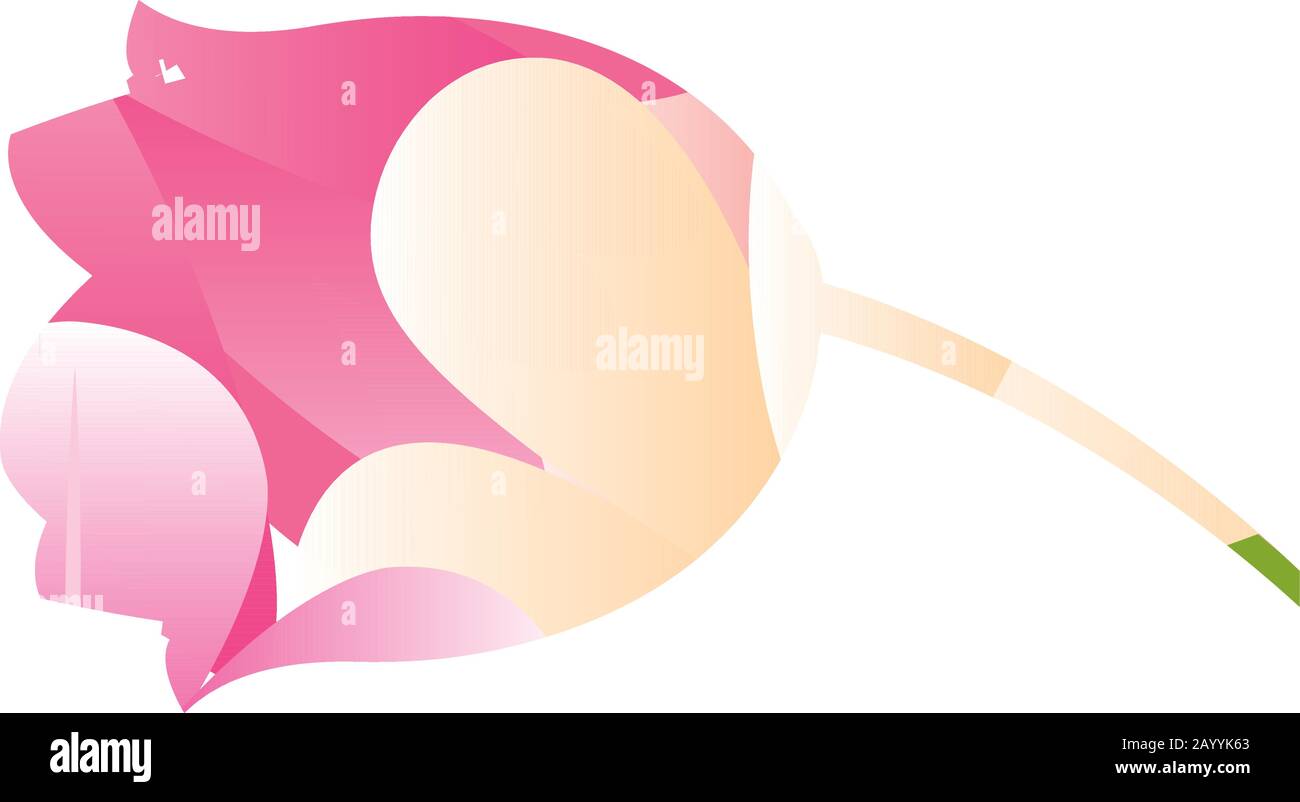 Silhouette einer rosafarbenen Rose Stock Vektor