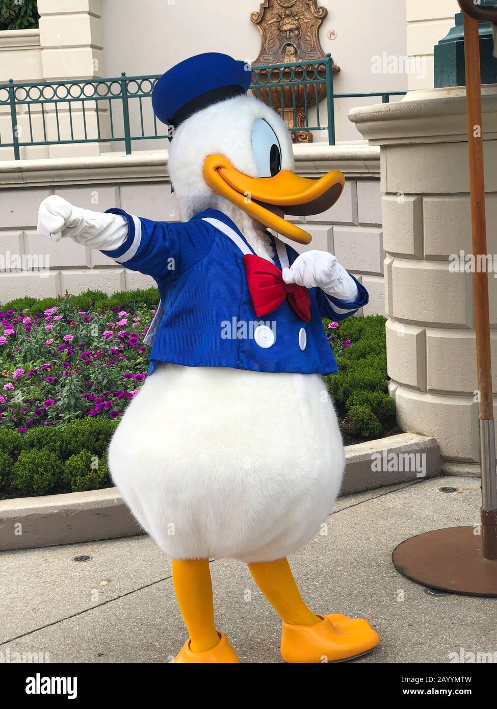 Donald duck costume -Fotos und -Bildmaterial in hoher Auflösung – Alamy