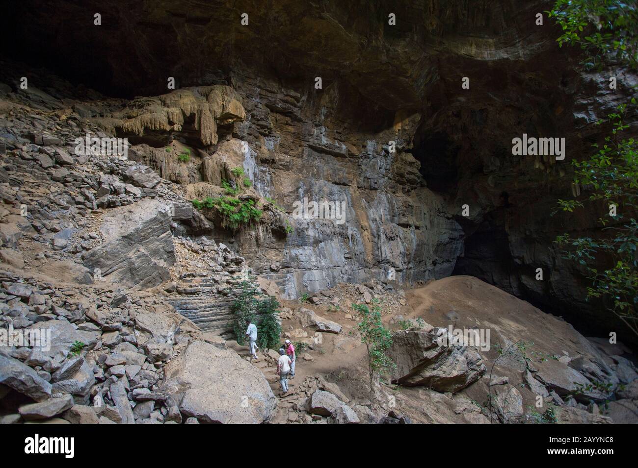 Touristen in Kalksteinhöhlen im Ankarana-Reservat im Norden von Madagaskar. Stockfoto