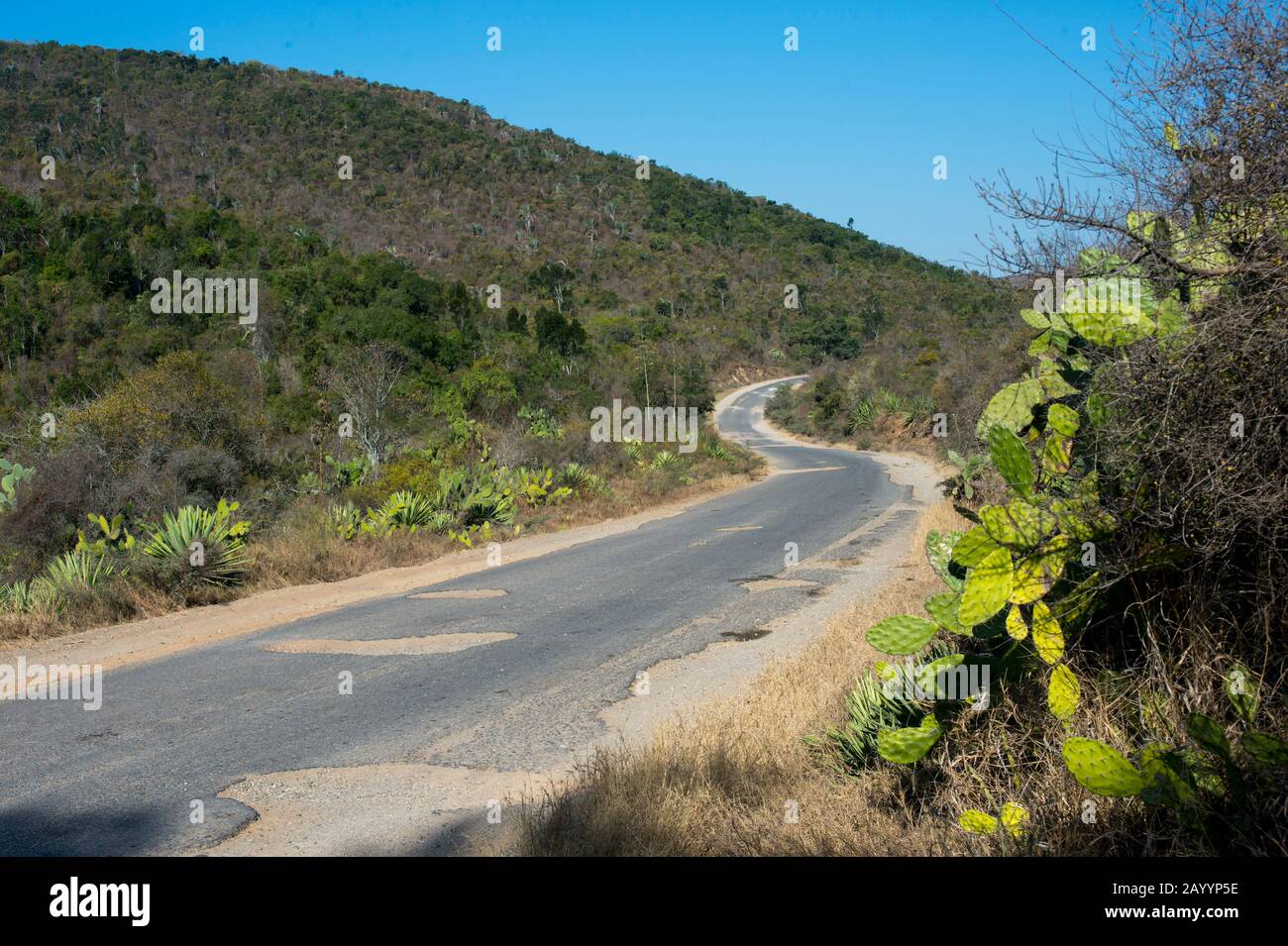 Schlechte Straße mit Schlaglöchern zwischen Berenty und Fort Dauphin (Taolagnaro) im Süden von Madagaskar. Stockfoto