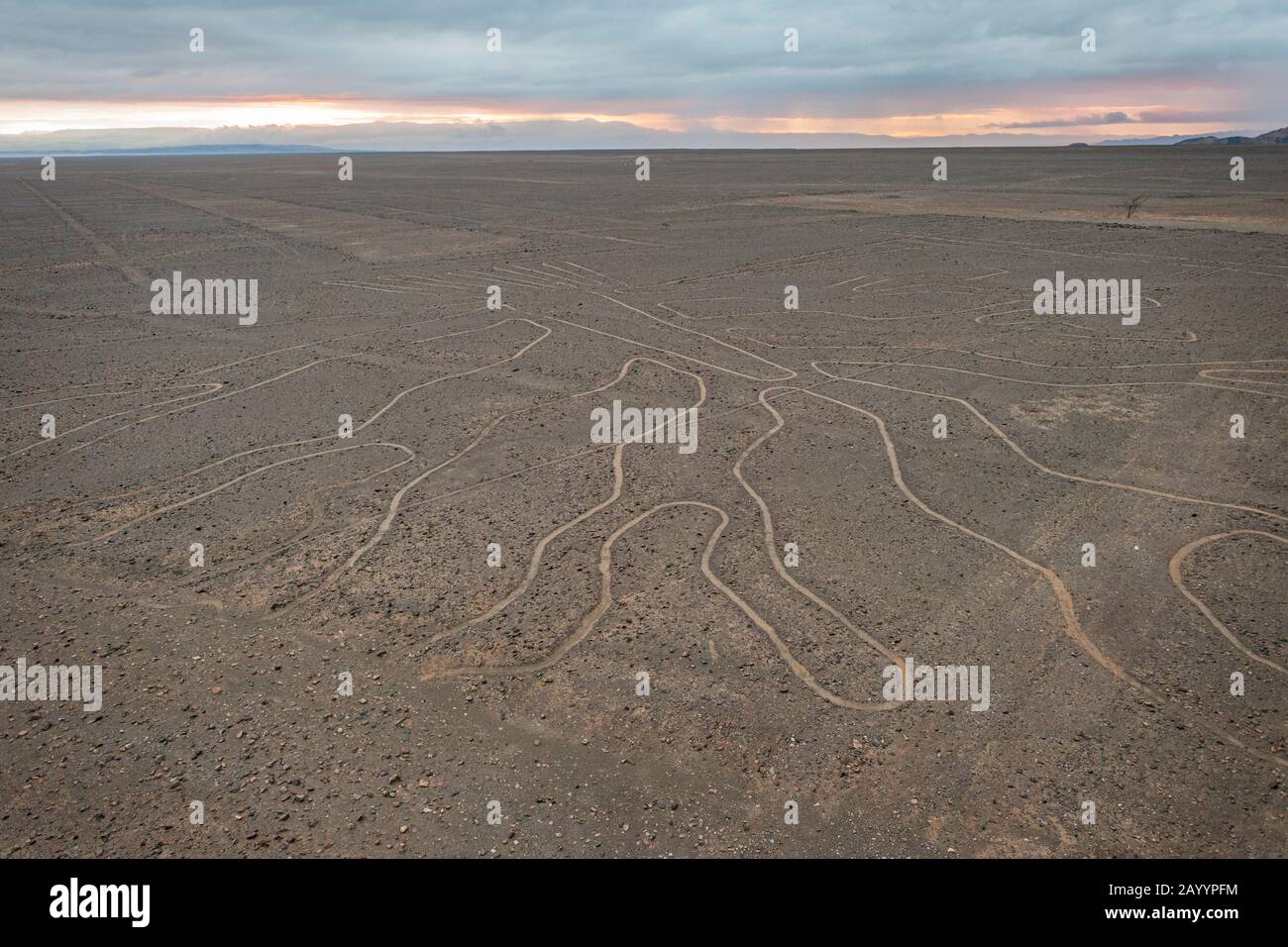 Blick auf die "The Tree"-Nazca-Linien am Rande der panamerikanischen Autobahn in Peru. Stockfoto