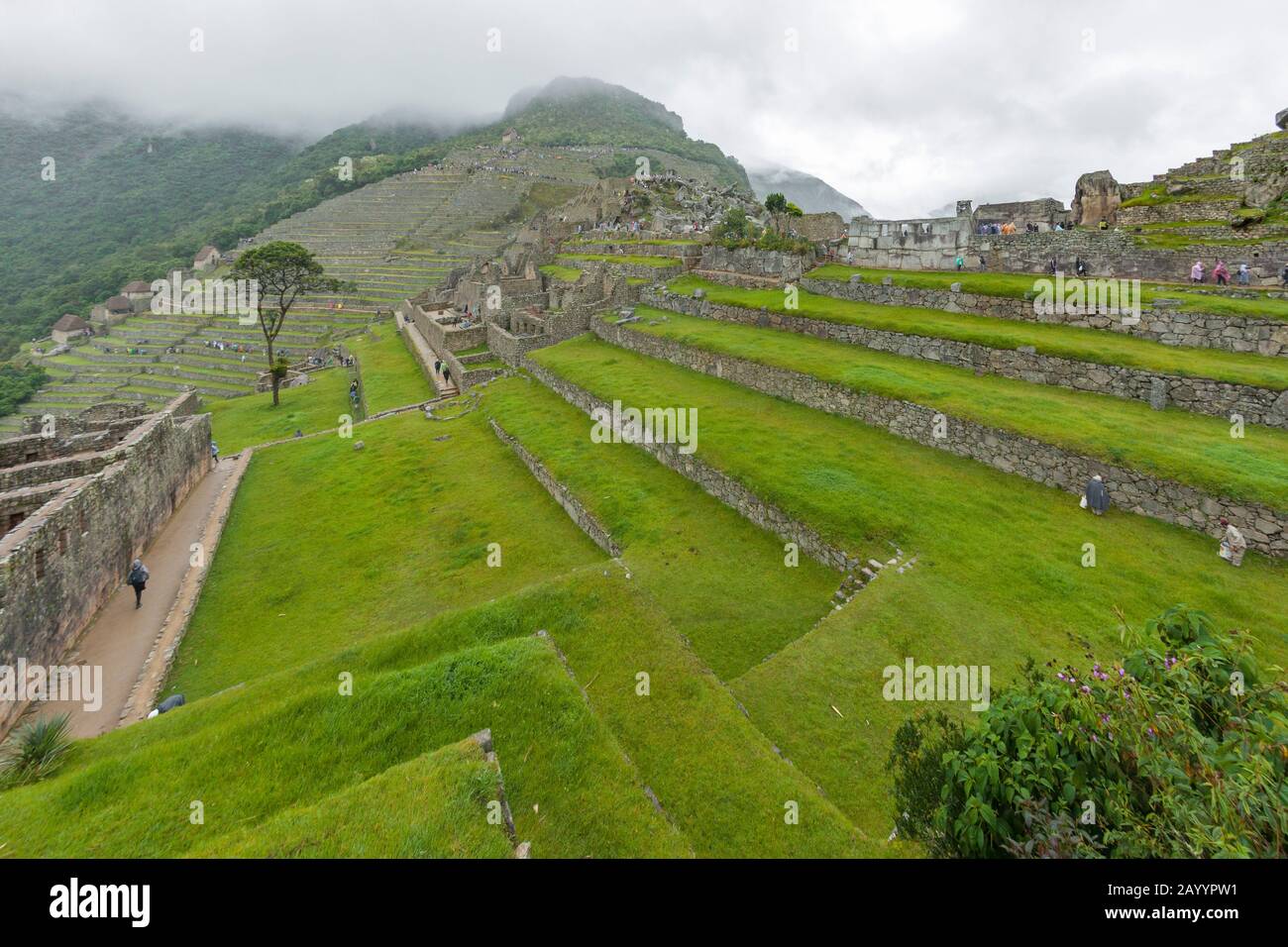 Die alte Inka-Stadt Machu Picchu in Peru. Stockfoto