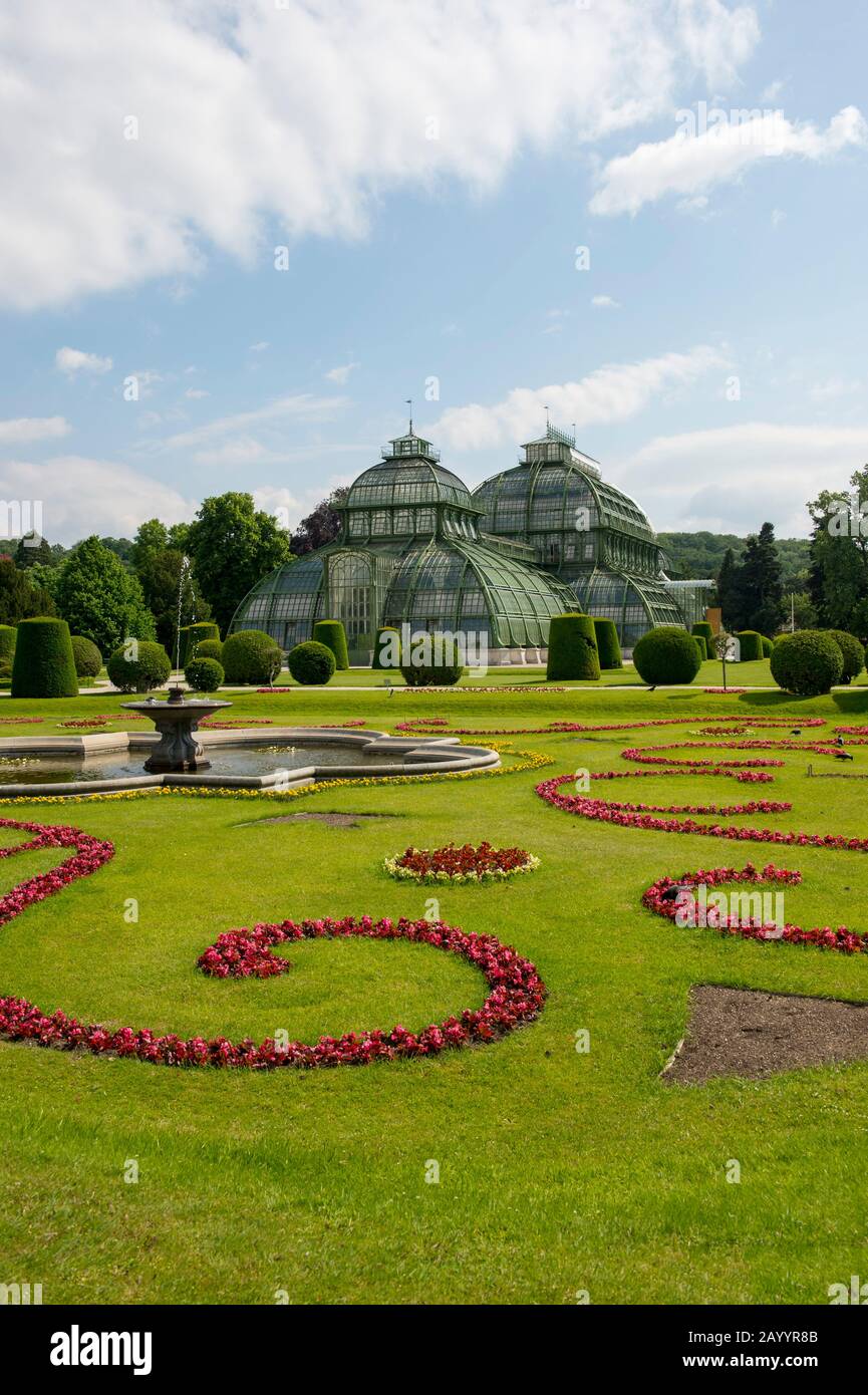 Gewächshäuser (Palmenhaus) im Garten am Schloss Schönbrunn in Wien, Österreich. Stockfoto