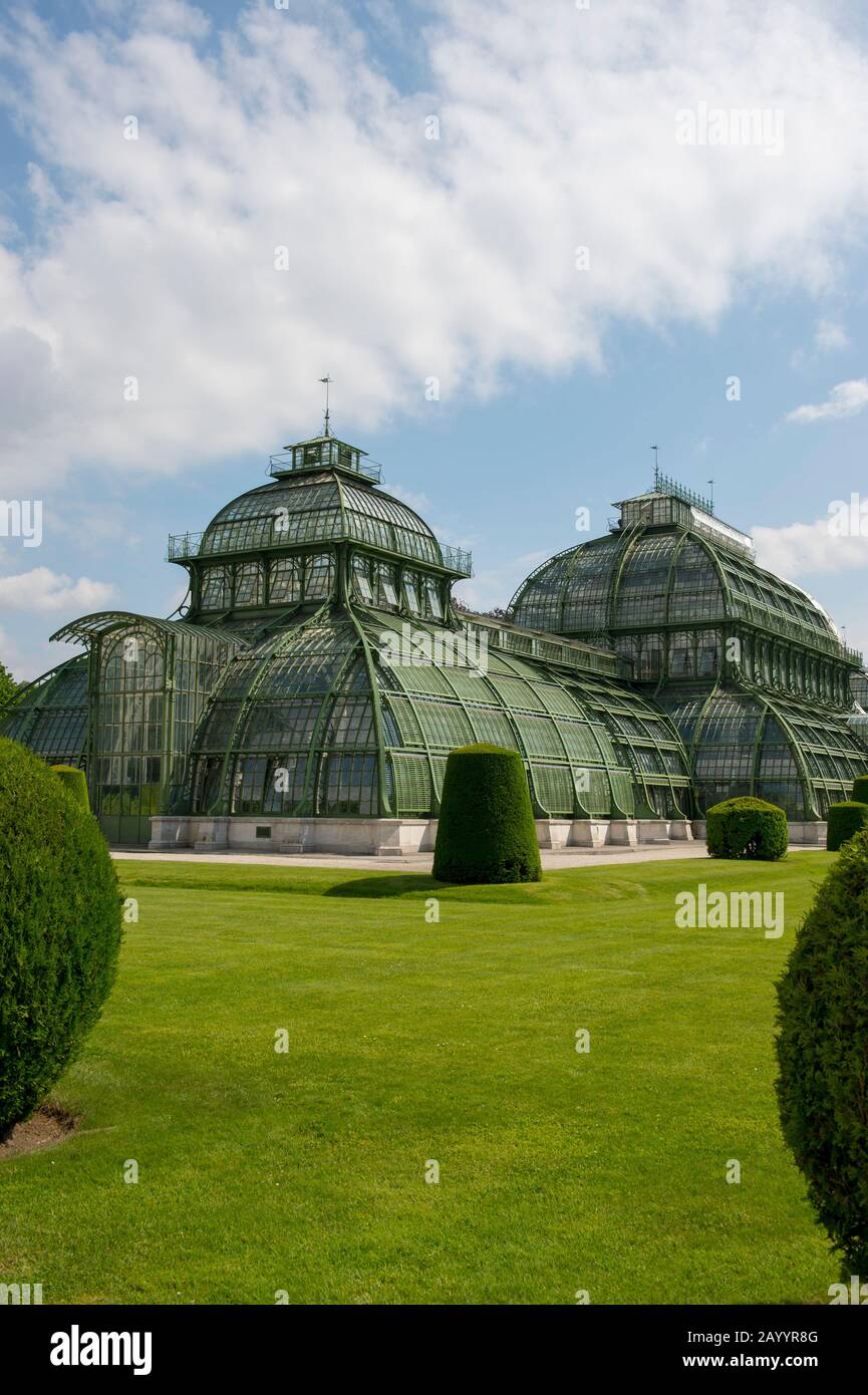 Gewächshäuser (Palmenhaus) im Garten am Schloss Schönbrunn in Wien, Österreich. Stockfoto