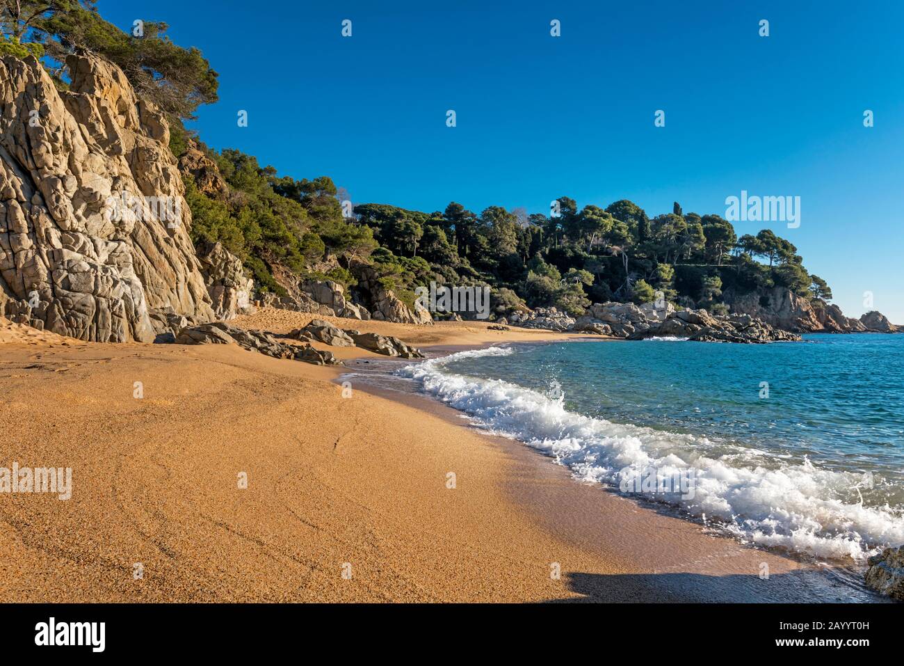 STRAND CALA SA BOADELLA LLORET DE MAR COSTA BRAVA GERONA KATALONIEN SPANIEN Stockfoto