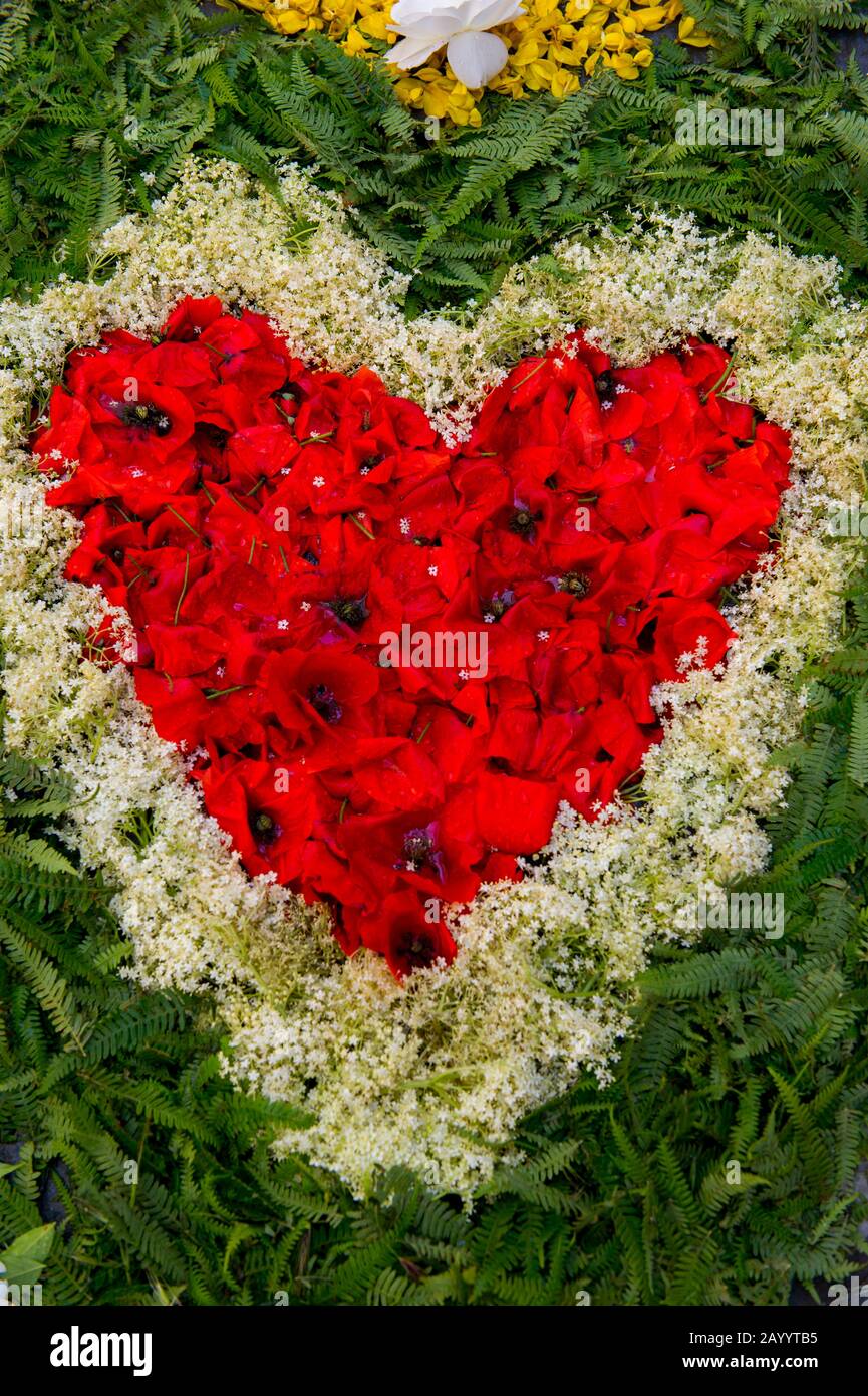 Nahaufnahme der Blumenmotive auf der Straße, die für die Fronleichnamsprozession, eine katholische Befolgung, die die heilige Eucharistie ehrt, in Pie dekoriert ist Stockfoto