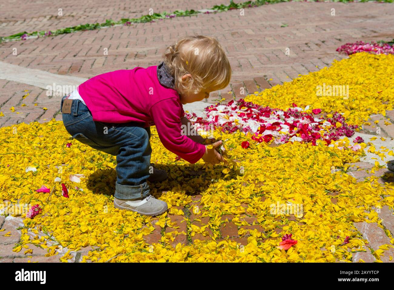 Kleinkind, das mit Blumen auf dem Stadtplatz spielt, der für den Fronleichnamstag dekoriert ist, eine katholische Befolgung, die die heilige Eucharistie ehrt, in Pie Stockfoto