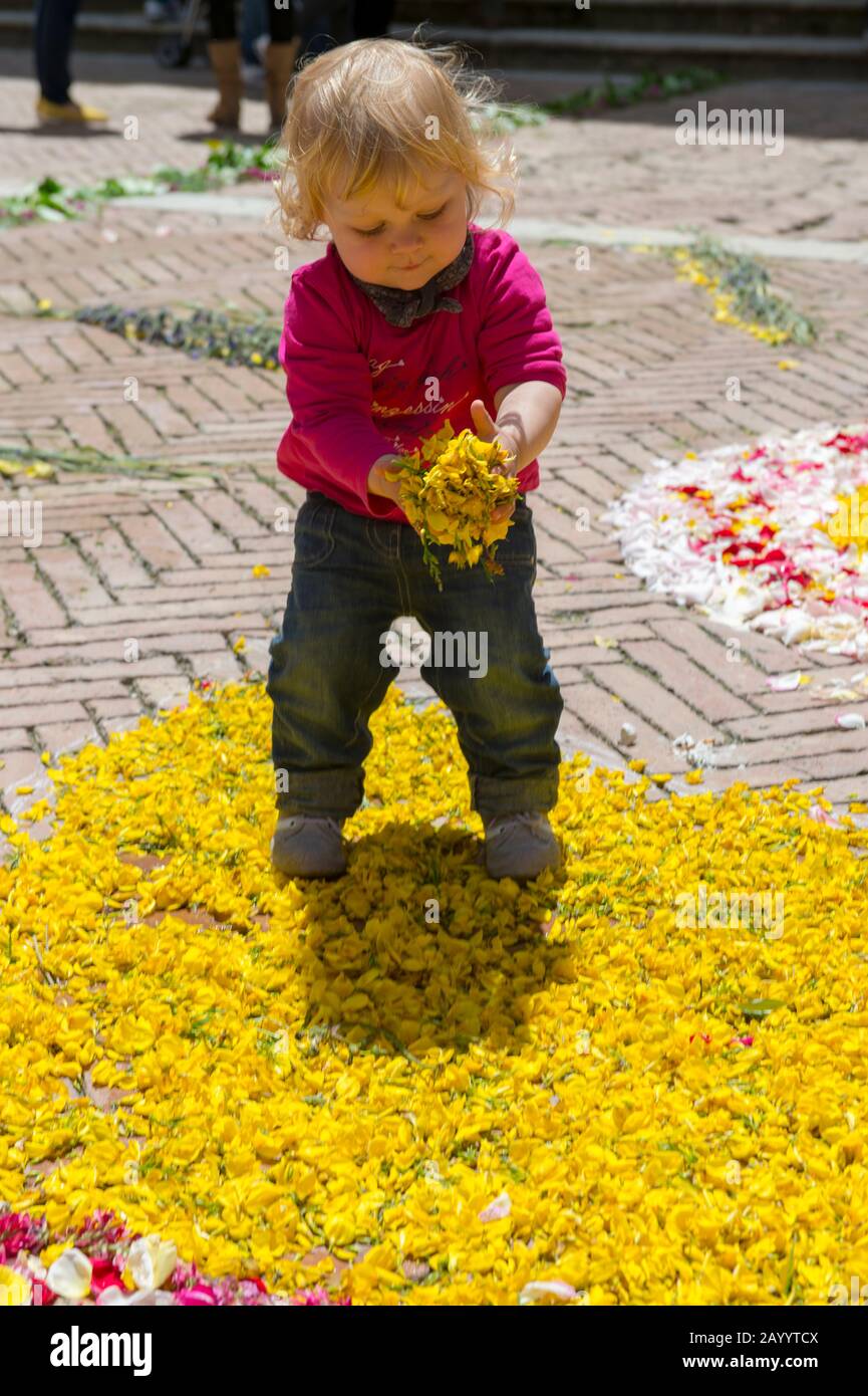 Kleinkind, das mit Blumen auf dem Stadtplatz spielt, der für den Fronleichnamstag dekoriert ist, eine katholische Befolgung, die die heilige Eucharistie ehrt, in Pie Stockfoto
