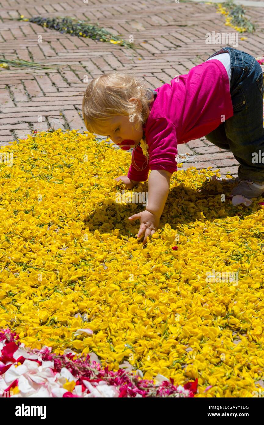 Kleinkind, das mit Blumen auf dem Stadtplatz spielt, der für den Fronleichnamstag dekoriert ist, eine katholische Befolgung, die die heilige Eucharistie ehrt, in Pie Stockfoto