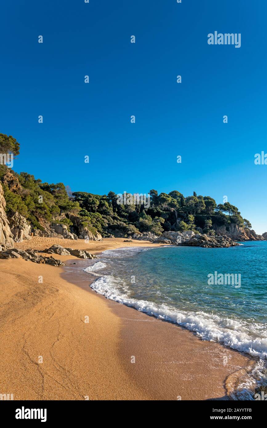 STRAND CALA SA BOADELLA LLORET DE MAR COSTA BRAVA GERONA KATALONIEN SPANIEN Stockfoto