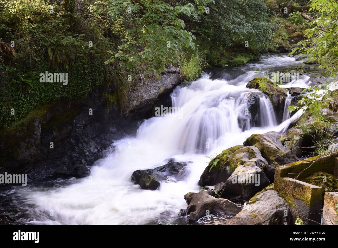 Wunderschöner Wasserfall Mit Üppigem Dichten Wald Stockfoto