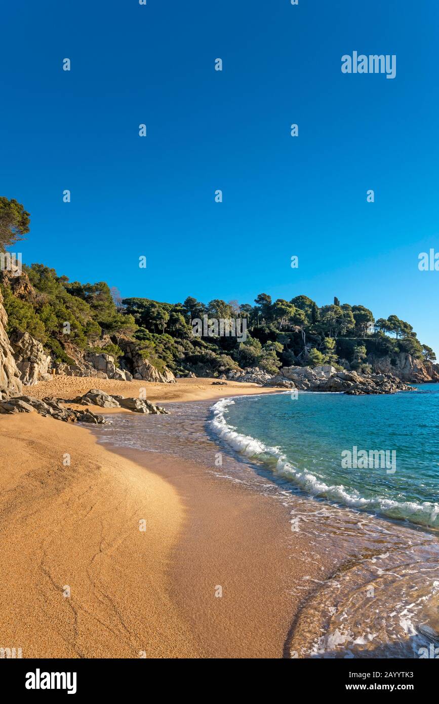 STRAND CALA SA BOADELLA LLORET DE MAR COSTA BRAVA GERONA KATALONIEN SPANIEN Stockfoto