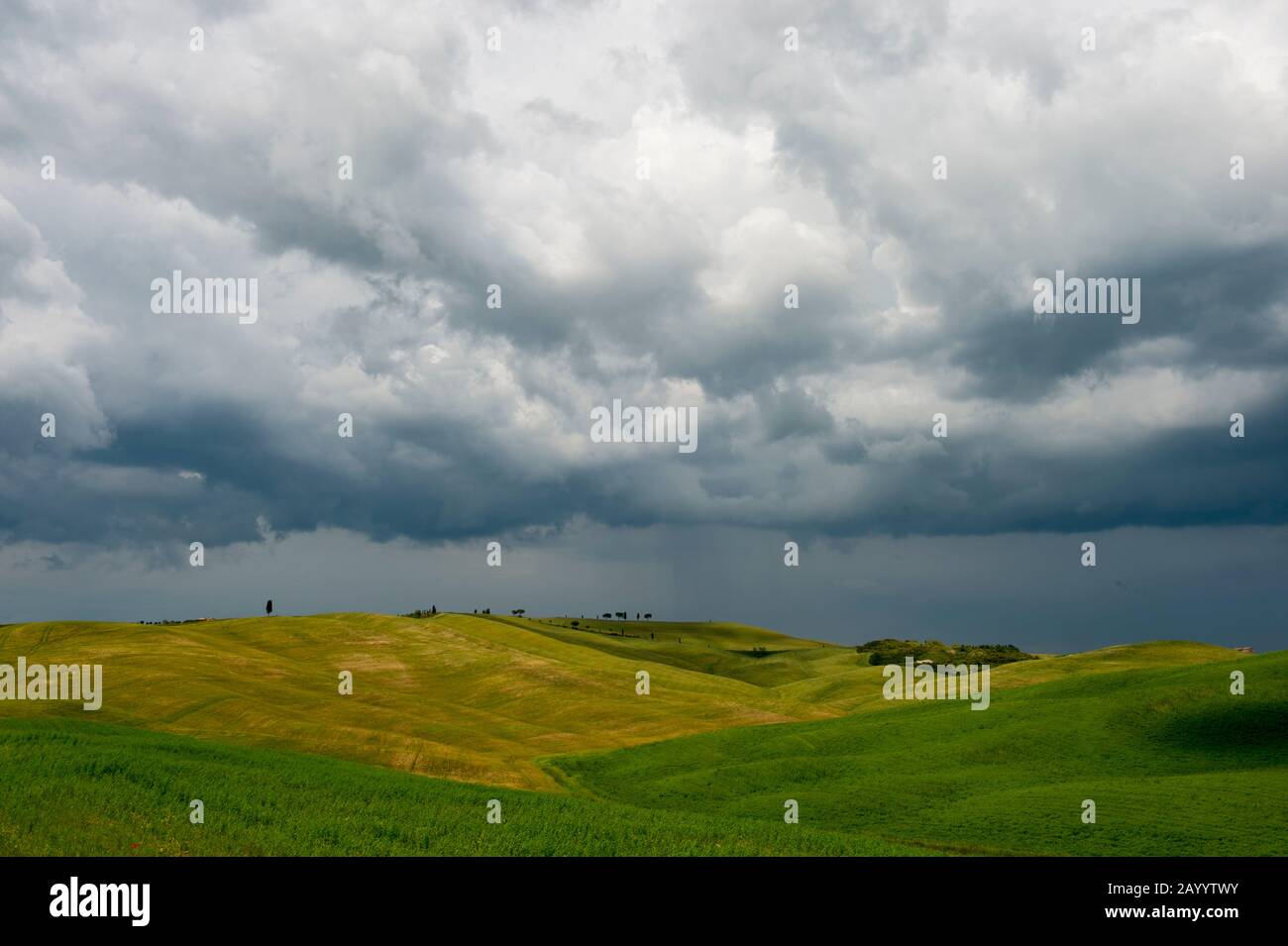 Sturmwolken über Feldern bei San Quirico im Val d'Orcia bei Pienza in der Toskana, Italien. Stockfoto