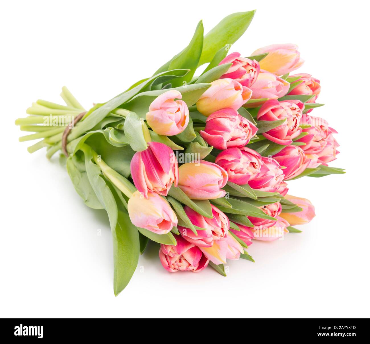 Wunderschönes, frisches Blumenstrauß mit Tulpen aus der Feder, isoliert auf weißem Hintergrund mit weichem Schatten Stockfoto