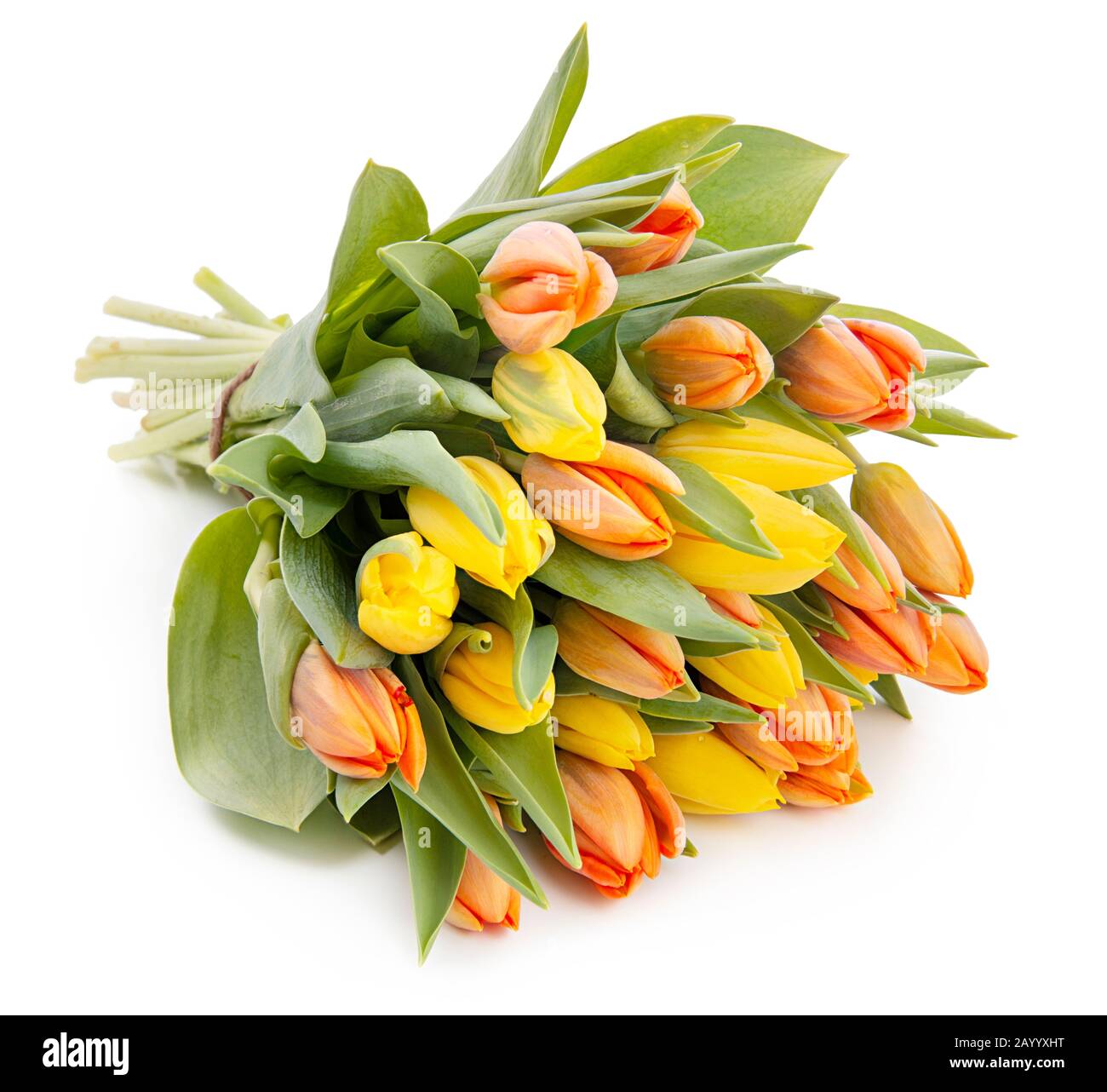 Blumenstrauß aus frischen, schönen gelben und roten Tulpen auf weißem Hintergrund Stockfoto