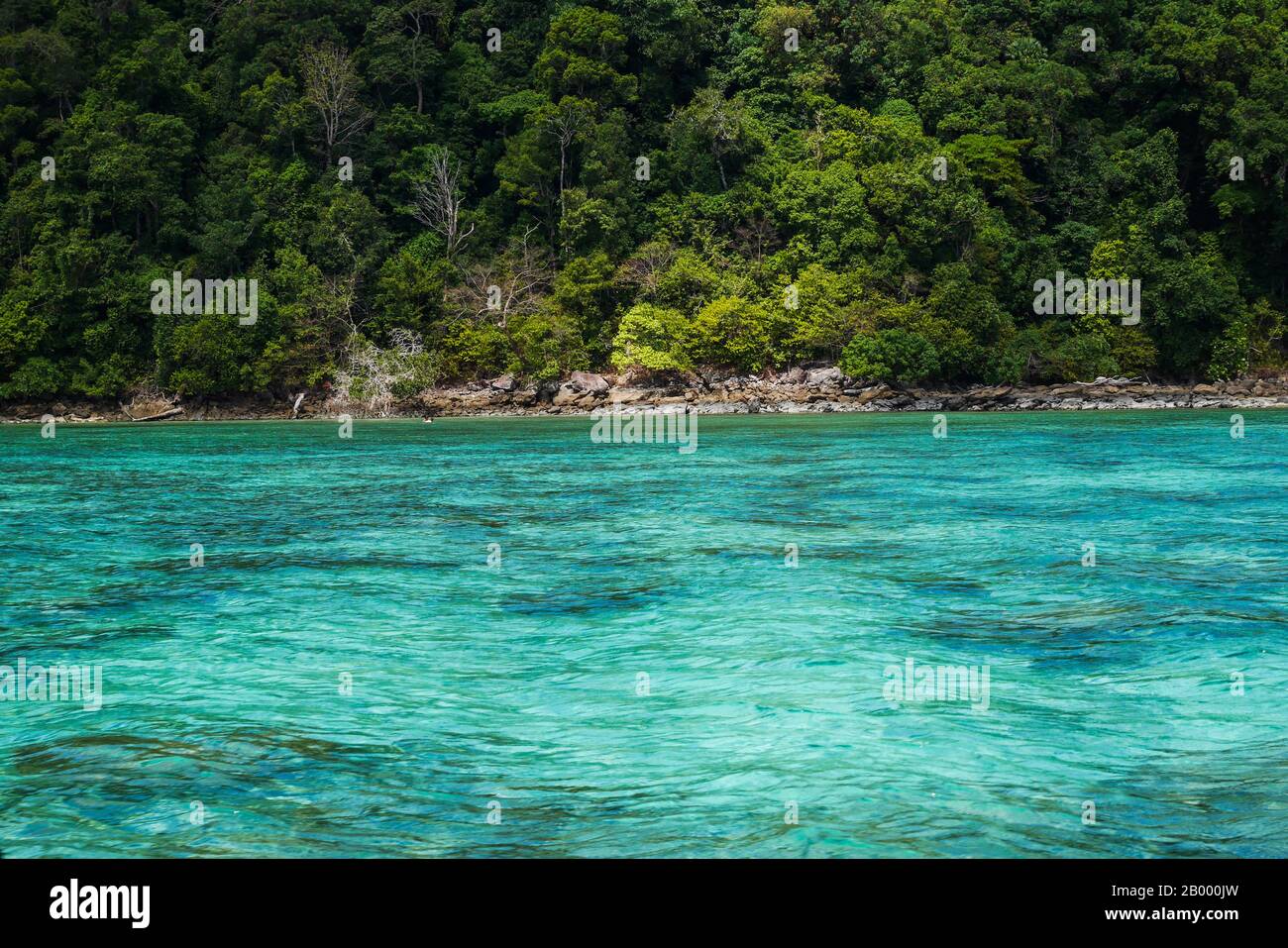 Meer der tropischen Insel, Insel Surin, Thailand Stockfoto