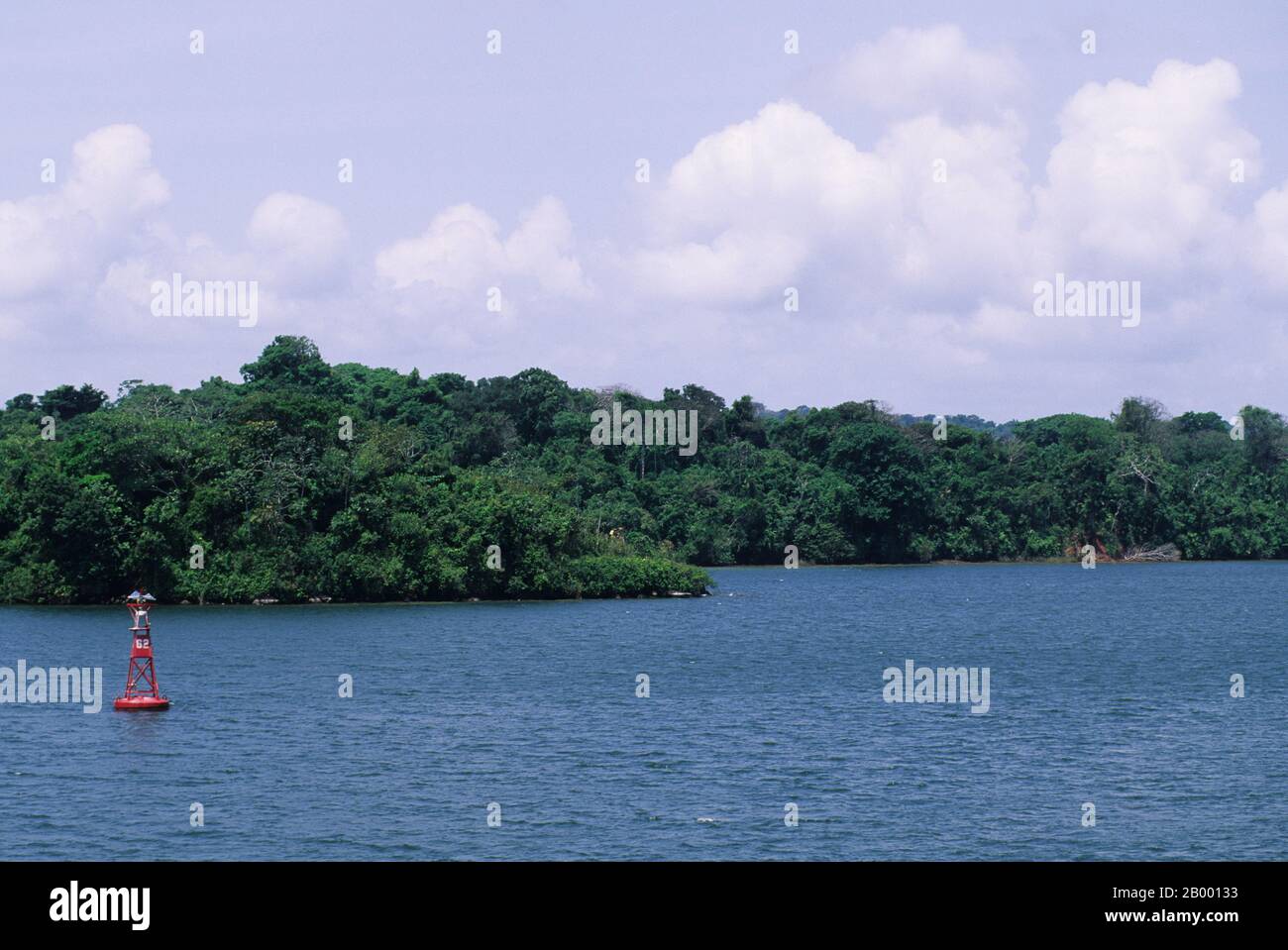 Blick auf den Regenwald am Rande des Gatun-Sees, einem Teil des Panamakanals in Panama. Stockfoto