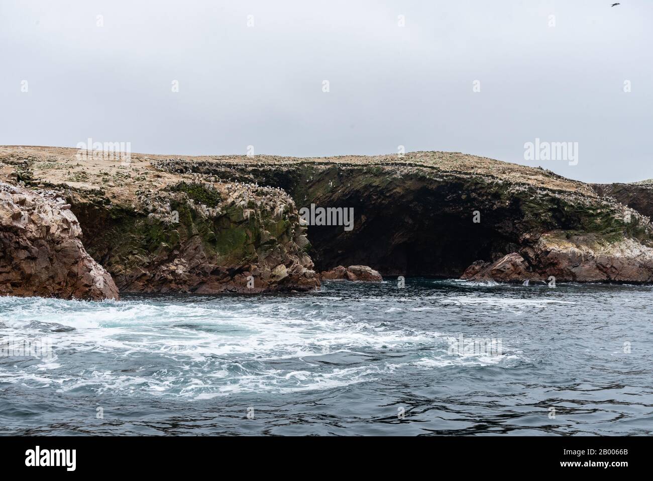 Zahlreiche Humboldtpinguine bei schönem Wetter auf den Ballestas-Inseln Peru Südamerikas Stockfoto