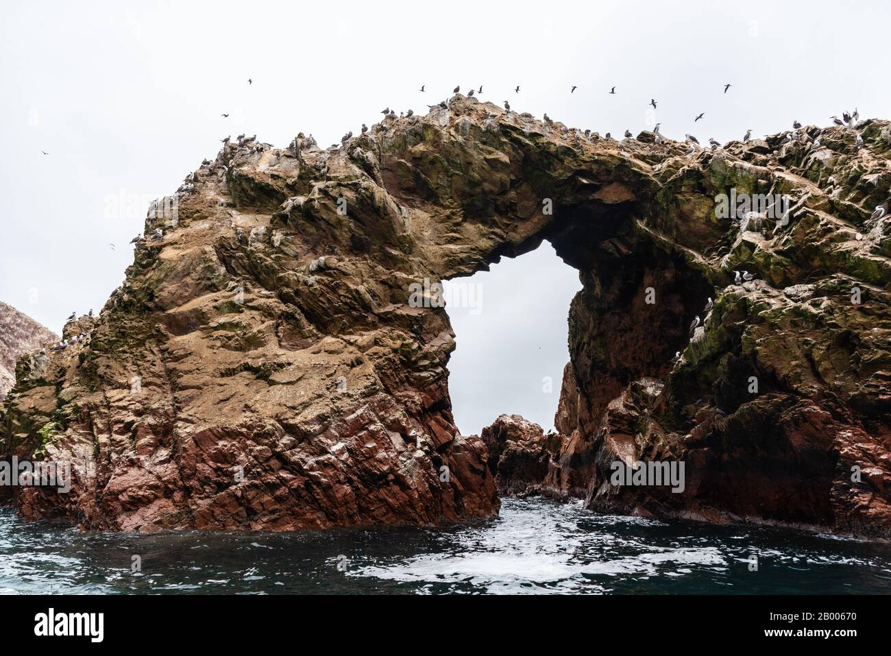 Bei schönem Wetter genießen die Humboldtpinguine auf den Ballestas-Inseln Peru Südamerikas Stockfoto
