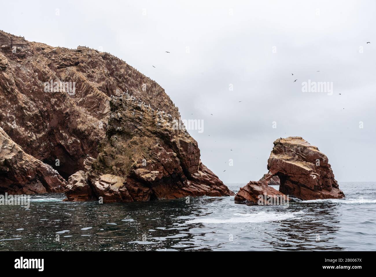 Seelöwen bei schönem Wetter auf den Ballestas-Inseln Peru Südamerika Stockfoto