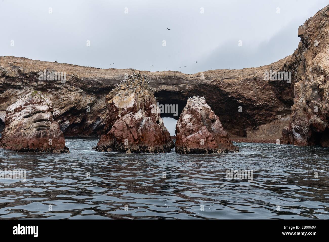 Bei schönem Wetter genießen die Humboldtpinguine auf den Ballestas-Inseln Peru Südamerikas Stockfoto