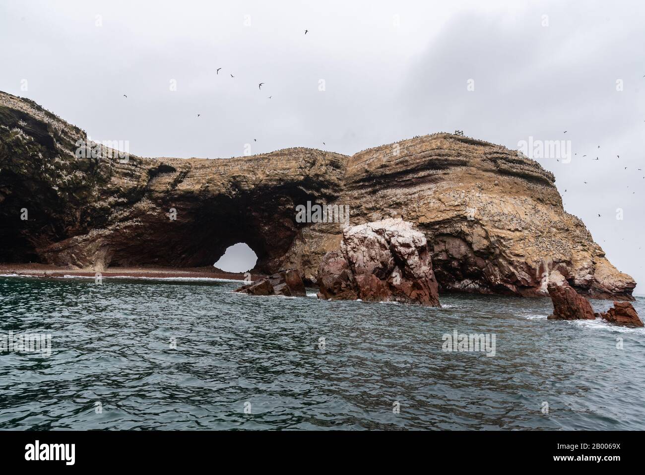 Bei schönem Wetter genießen die Humboldtpinguine auf den Ballestas-Inseln Peru Südamerikas Stockfoto