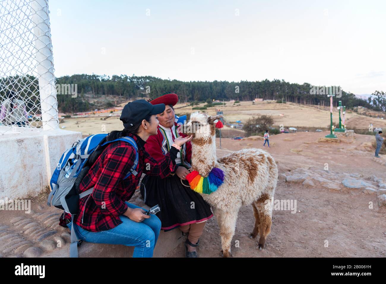 Frau spielt mit Alpaca in Peru Südamerika Stockfoto