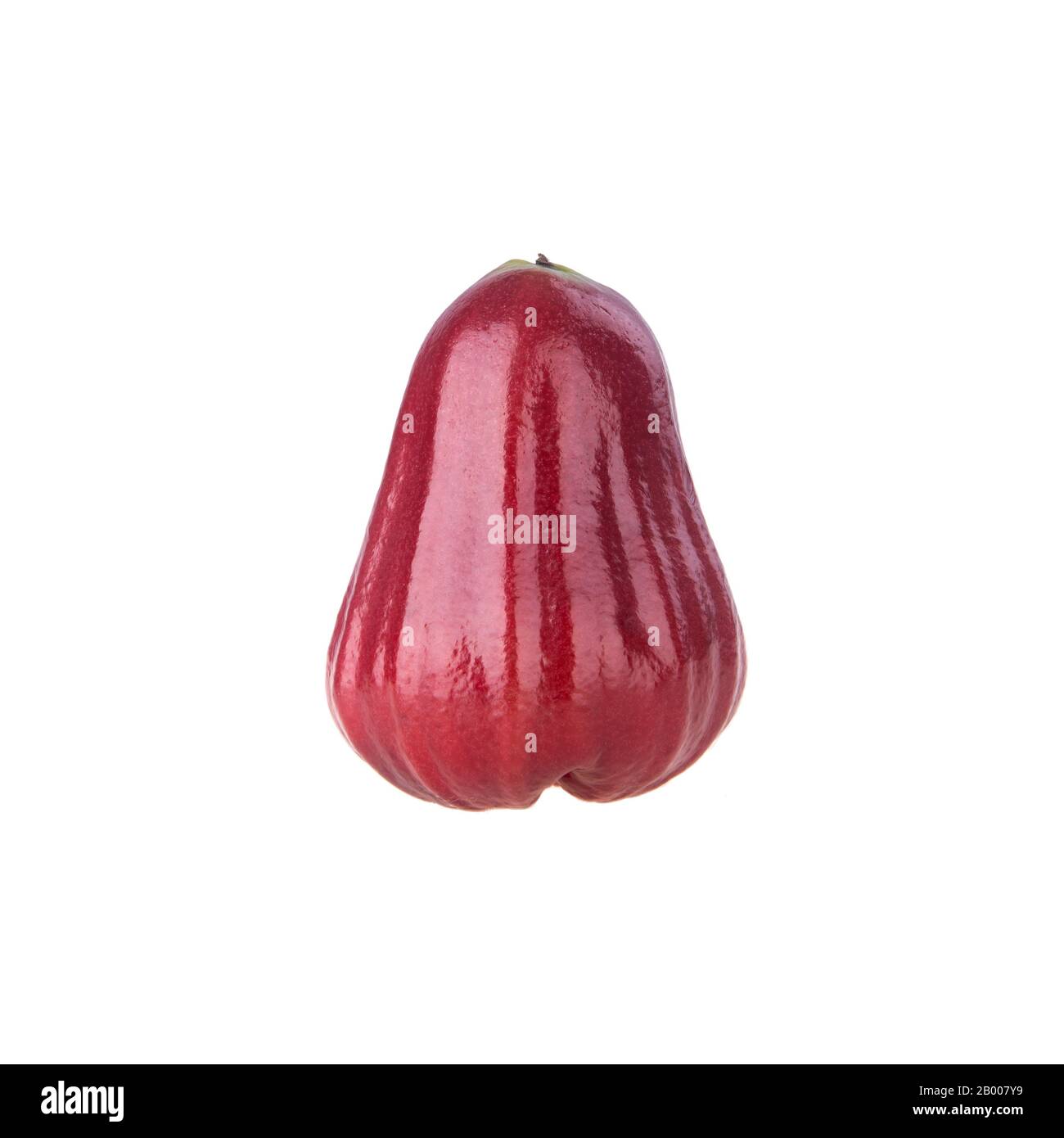 rosenapfel oder rosenapfel-frucht auf dem Hintergrund neu Stockfoto