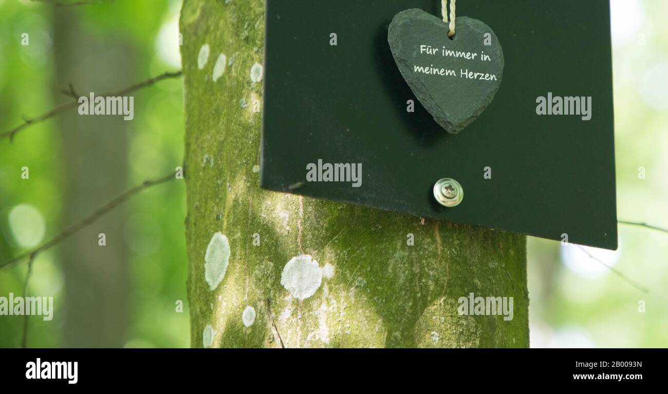 Für immer in meinem Herzen, natürliche Beerdigung im Wald. Schwarzes Herz auf einem Baumstamm. Stockfoto