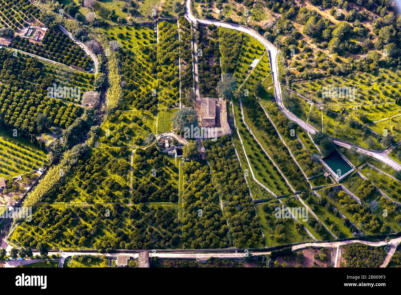 Luftbild, Finca in den Bergen, Olivenhain, Olivenbäume, Oliven, Viertel L'Horta, Sóller, Europa, Balearen, Spanien, es, Espana, Urlaub Stockfoto