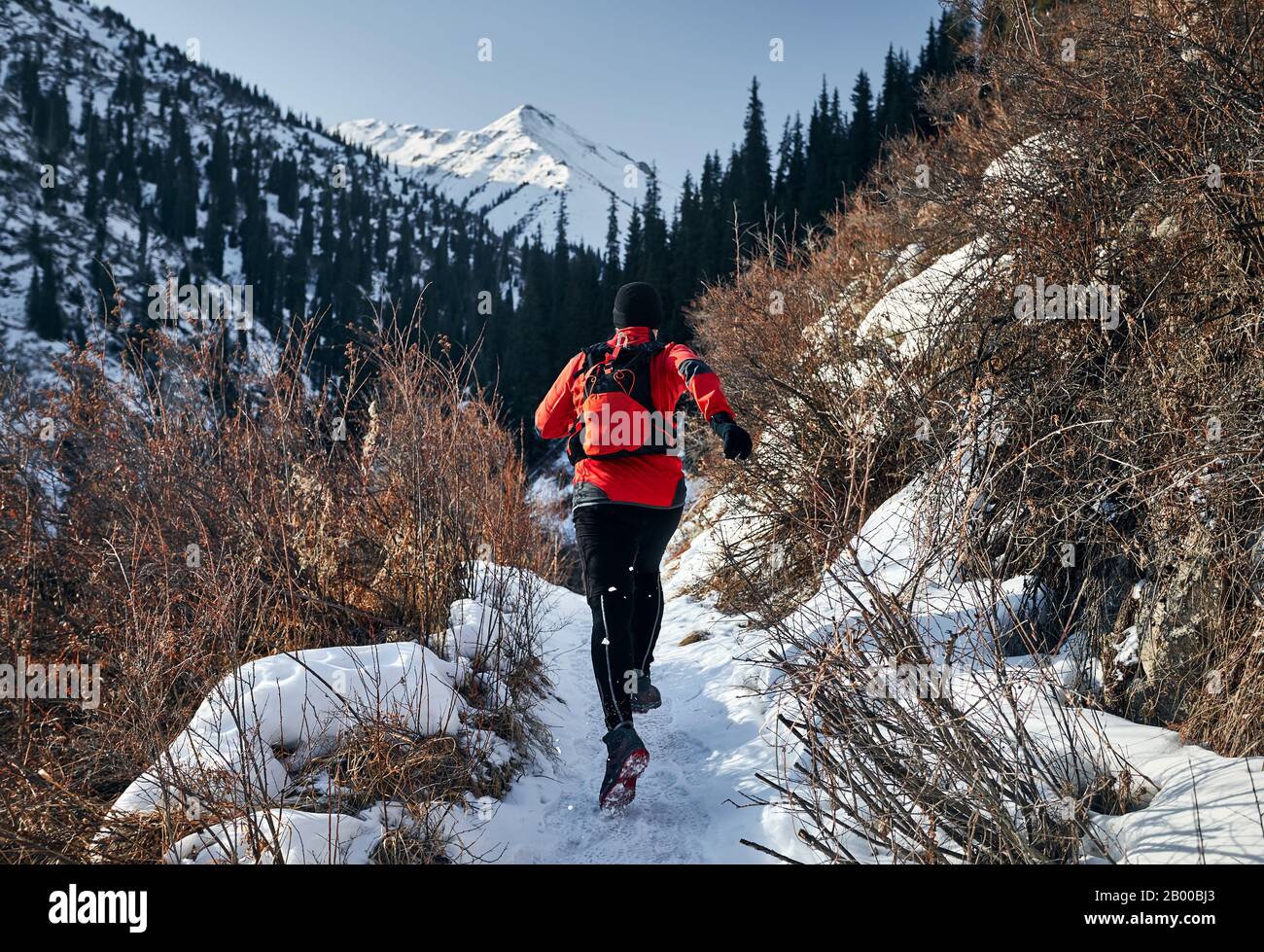 Der alte Mann mit grauem Bart und roter Jacke läuft im Winter in der Nähe der Berge. Skyrunning und wegweißendes Aktivitätskonzept. Stockfoto