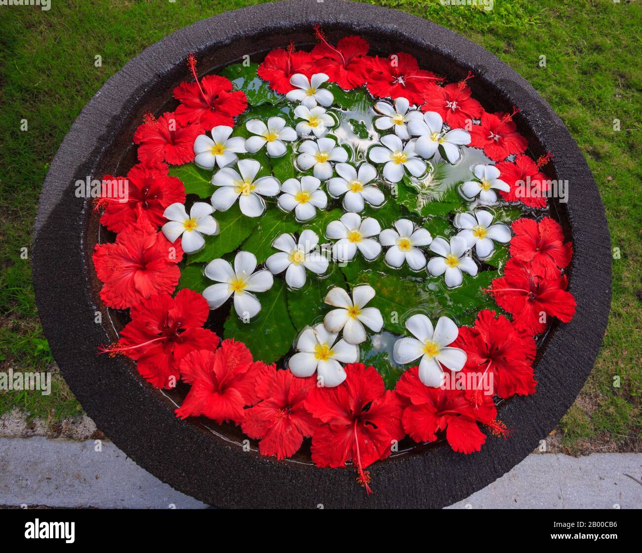 Ein Topf mit Wasser und mit Hibiskus und anderen weißen Blumen dekoriert Stockfoto