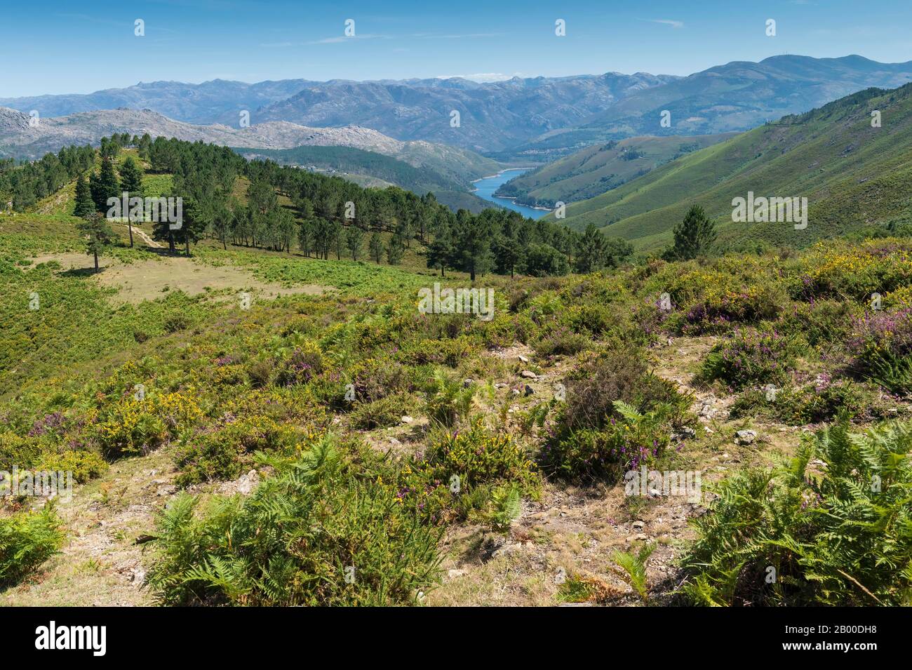 Peneda Geres Nationalpark, Landschaft, Minho, Portugal Stockfoto