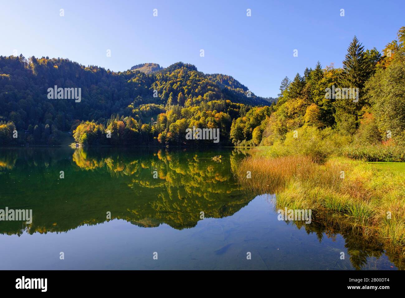 Freiberger See bei Oberstdorf, Oberallgaeu, Allgaeu, Schwaben, Bayern, Deutschland Stockfoto