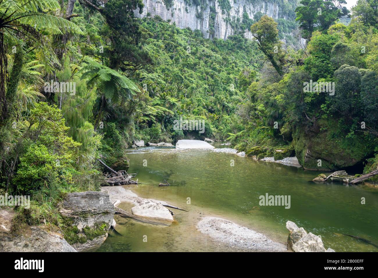 Pororari River, Pororari River Track, Punakaiki, Paparoa National Park, Westküste, Südinsel, Neuseeland Stockfoto