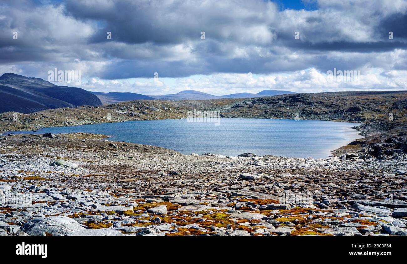 Berglandschaft, Felsen, Steine, Dovrefjell-Sunndalsfjella-Nationalpark, Norwegen Stockfoto