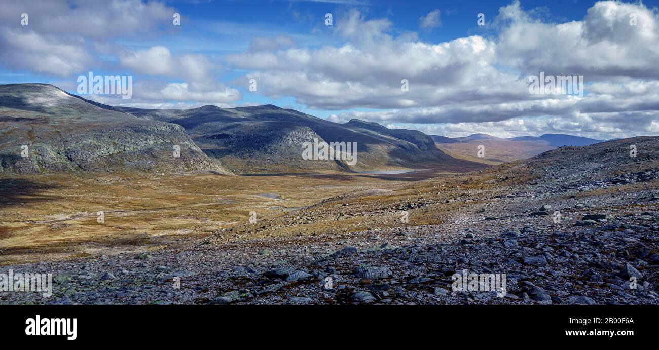 Berglandschaft, Felsen, Steine, Dovrefjell-Sunndalsfjella-Nationalpark, Norwegen Stockfoto