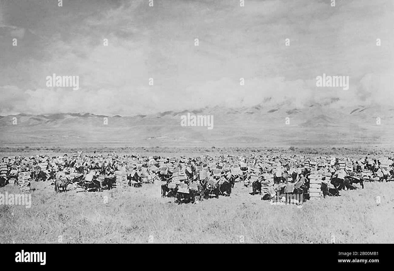 China: Massed Karawane von Packtieren Tee in Songpan, Northwest Sichuan, im Jahr 1922 die Tea Horse Road (Cha Ma Dao) war ein Netzwerk von Maultier Karawanen Wege schlängelt sich durch die Berge von Yunnan, Sichuan und Tibet in Südwest-China. Es wird auch manchmal als die Southern Silk Road und Ancient Tea and Horse Road bezeichnet. Seit etwa tausend Jahren war die Ancient Tea Route eine Handelsverbindung von Yunnan, einer der ersten Teeanbauregionen, nach Indien über Burma, nach Tibet und über die Provinz Sichuan nach Zentralchina. Neben Tee trugen die Maultierkarawanen Salz. Stockfoto