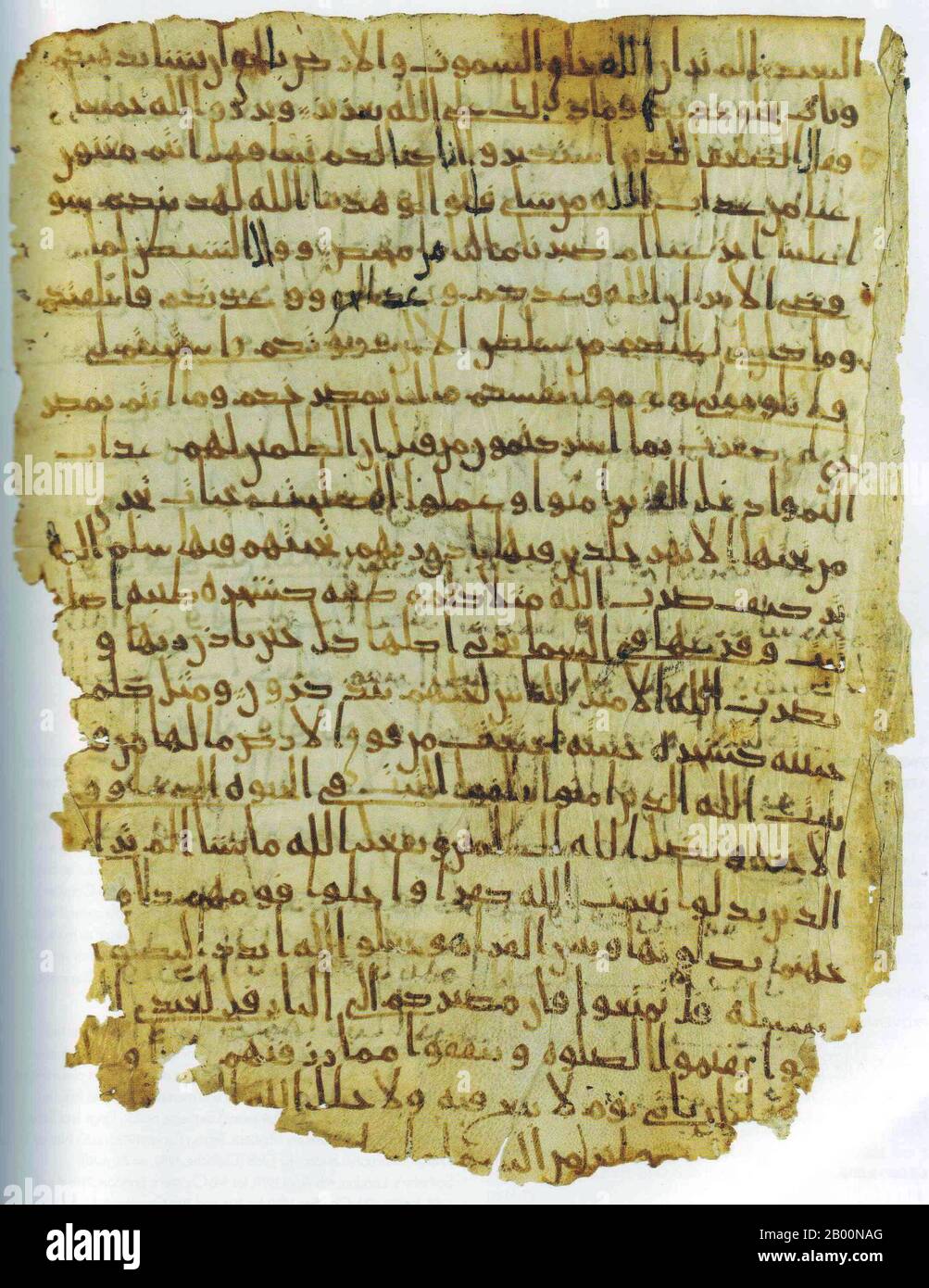 Arabien: Sehr frühe arabische koranische Kalligraphie, die aus der 2. Hälfte des 7. Jahrhunderts u.Z. stammt. Ein einziges Blatt (35.5 x 27.5 cm) von dem, was man als Hijazi-Koran bezeichnet und bis heute aus der zweiten Hälfte des 7. Jahrhunderts u.Z. stammt. Recto. Stockfoto