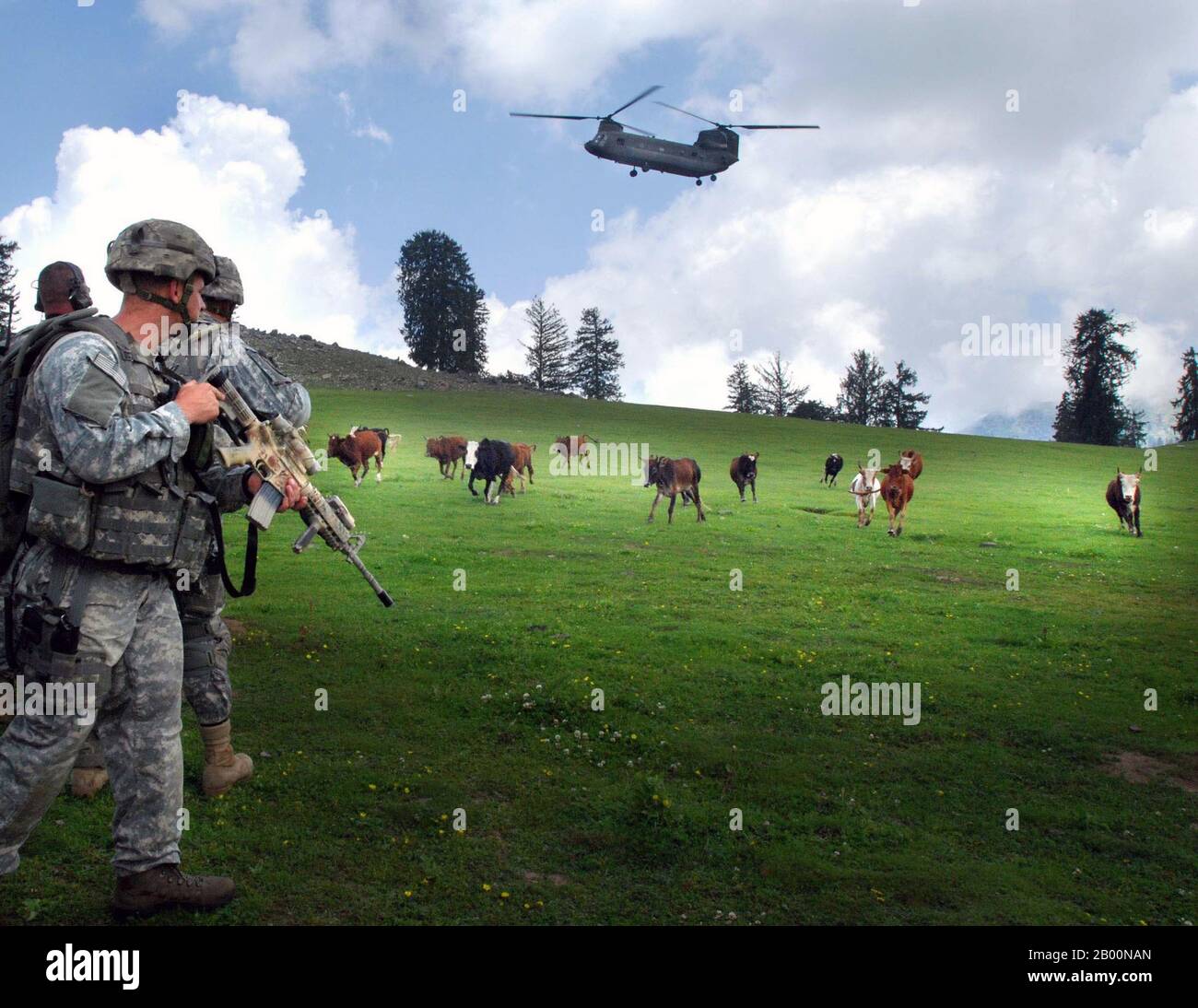 Afghanistan: Ein Soldat der Hauptquartiere und Hauptquartiertruppen, 1. Geschwader, 91. Kavallerieregiment (Airborne), beobachtet, wie Rinder Platz machen, während ein CH-47 Hubschrauber sich vorbereitet, auf Landezone Shetland zu landen während der Operation Saray hat Juli 19 nahe Vorwärts Operationsbasis Naray, Afghanistan. (USA Armee Foto von Sgt. Brandon Aird, in Public Domain). Stockfoto