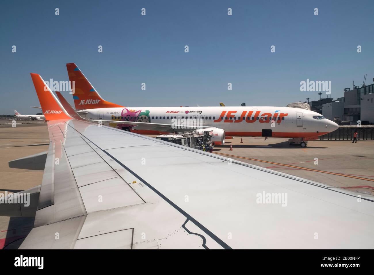 Südkorea: Flugzeug der südkoreanischen Fluggesellschaft Jeju-Air am Seoul Incheon International Airport Stockfoto